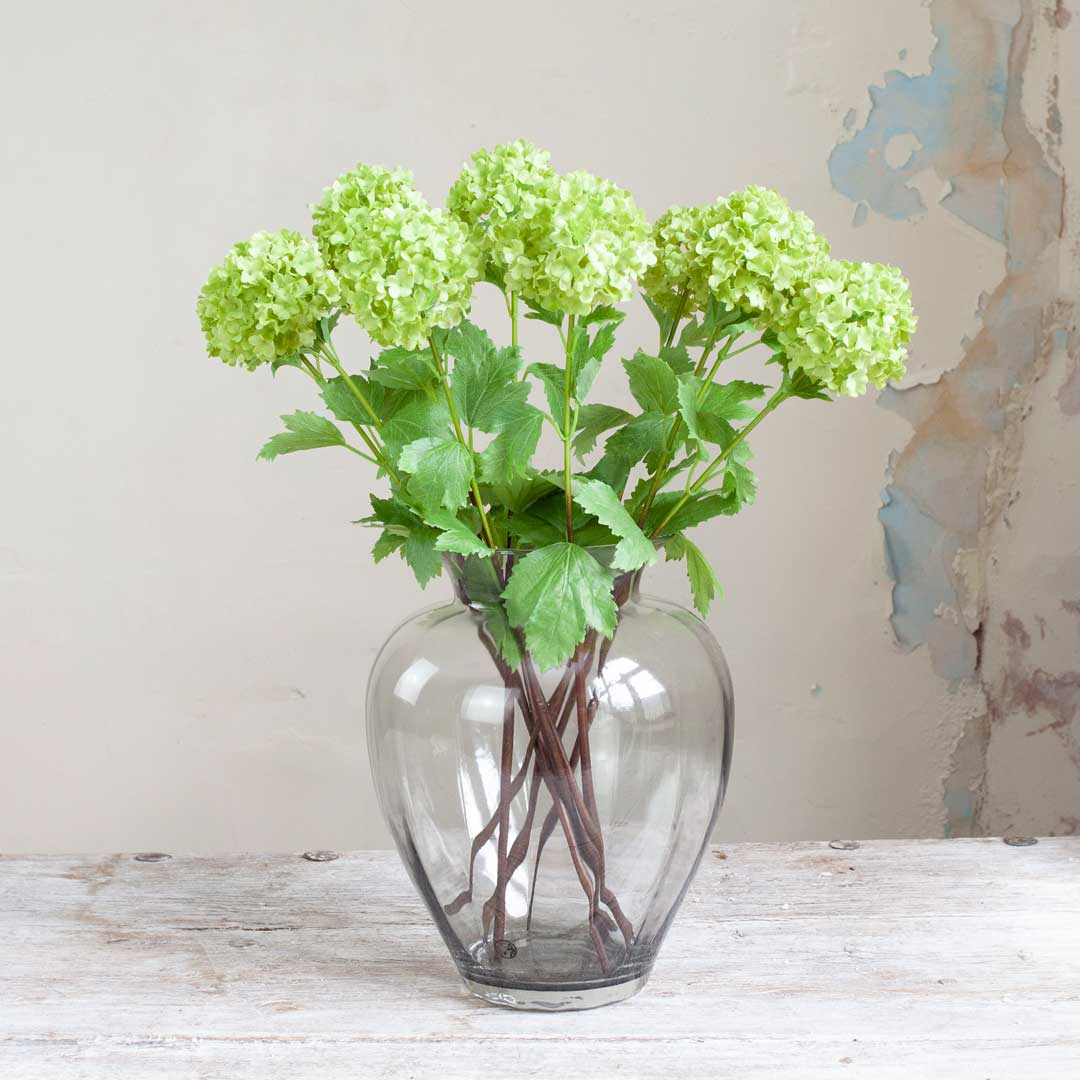 Shop Peony